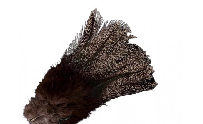 Coq de Leon Pardo Corzuno Medium � Limited Series (PCM) Coq de Leon Pardo Corzuno Medium � Limited Series (PCM)