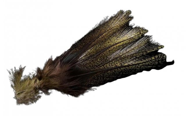 Coq de Leon Pardo Orzuno Olive � Limited Series (PCO) Coq de Leon Pardo Orzuno Olive � Limited Series (PCO)