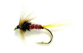 Cruncher Original Cruncher Original, Size 10