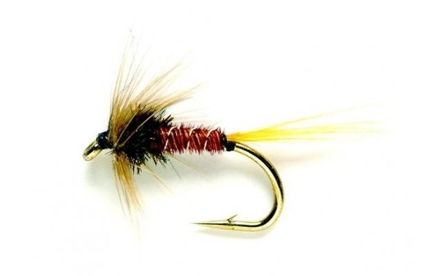 Cruncher Original Cruncher Original, Size 10