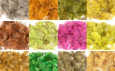 Sample color variations of partridge