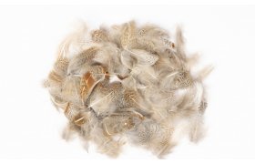 English Partridge Veniard Grey Neck ... English Partridge Veniard Grey Neck Hackles 3 g Natural