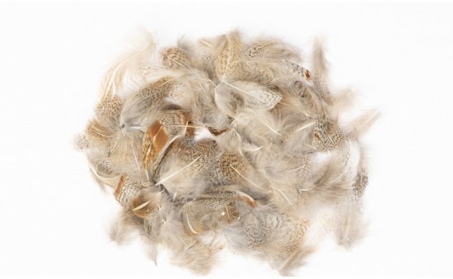 English Partridge Veniard Grey Neck Hackles 3 g Natural English Partridge Veniard Grey Neck Hackles 3 g Natural