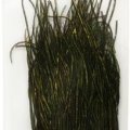 Feathers Fullling Mill Premium Selected Peacock Herl Natural