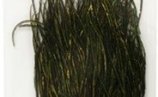 Feathers Fullling Mill Premium Selected Peacock Herl Natural