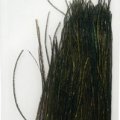 Feathers Fullling Mill Premium Selected Peacock Herl Purple