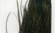 Feathers Fullling Mill Premium Selected Peacock Herl Purple