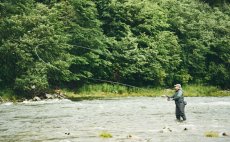 Fly Fishing Set - Guideline Embrace Sea Trout & Salmon SW - In Action
