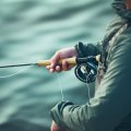 Fly Line Intermediate Guideline Coastal Classic - In Action