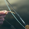 Fly Line Intermediate Guideline Coastal Classic - In Action