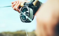 Fly Line Intermediate Guideline Coastal Classic - In Action