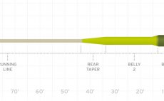 Fly Line Floating & Sink Tip Scientific Anglers 3M Sonar Titan Sink Tip 3 