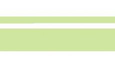 Fly Line Guideline PREDATOR DX