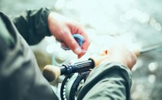 Fly Line Intermediate Guideline Coastal Classic - In Action