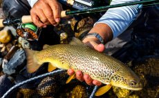Fly Rod Shimano Biocraft XR Fly Nymph