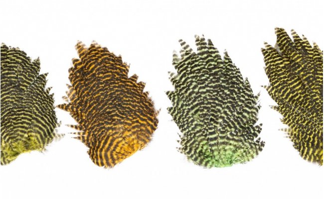 Genetic Hen Saddles Veniard Genetic Hen Saddles Veniard Grizzly