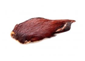 Indian Cock Capes Hends Indian Cock Capes Hends Dark Rusty