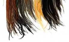 Introductory Hackle Pack Whiting Four 1/2 Saddles