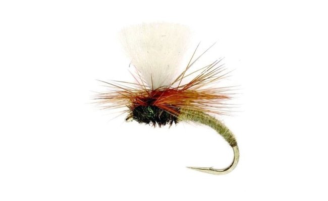 Klinkhammer Tan Klinkhammer Tan, Size 12
