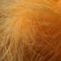 Marabou FlyBox Premium Sunburst Peach