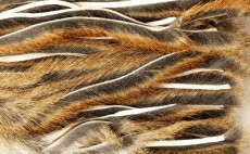 Micro Zonker Pine Squirrel Veniard Whole Skin