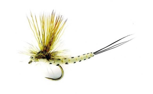 Mohican Mayfly B/L Mohican Mayfly B/L, Size 10