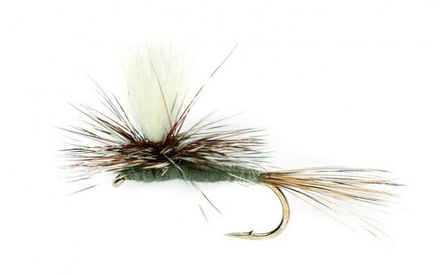 Parachute Adams Parachute Adams, Size 16