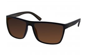 Polarised Glasses Kinetic Sungazer Brown ... Polarised Glasses Kinetic Sungazer Brown Lenses
