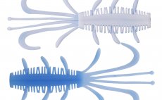 Rubber Lures Kinetic NYX - Baby Blue/White