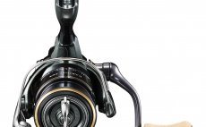 Spinning Reel Shimano Cardiff XR - Front