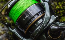 Spinning Reel Shimano Cardiff XR - In Action