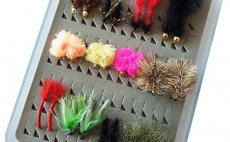 TOP AR Special Carp Flies - Fly Selection
