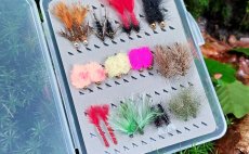 TOP AR Special Carp Flies - Fly Selection