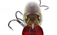 Wobbler Westin BuzzBite SR Crankbait - Detail