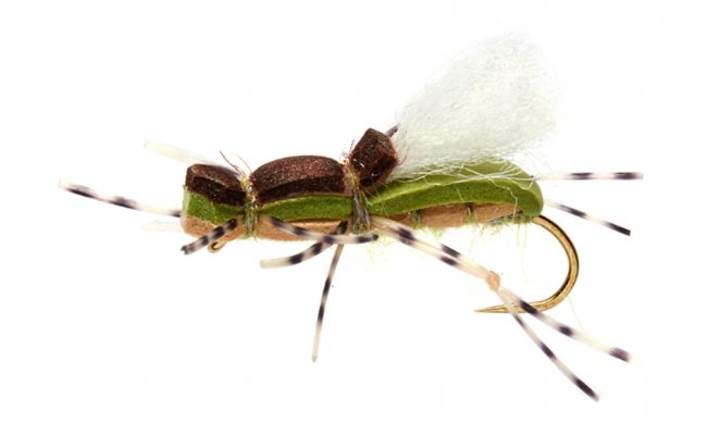 Gordo Alberto Olive Gordo Alberto Olive, Size 6