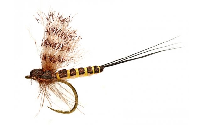 OE Mohican March Brown B/L OE Mohican March Brown B/L, Size 14