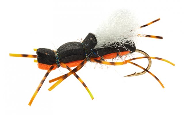 Gordo Alberto Black & Orange Gordo Alberto Black & Orange, Size 6