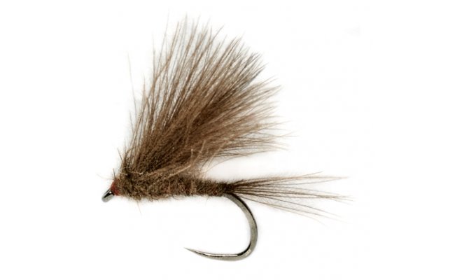 Roza's CDC Olive B/L Roza's CDC Olive B/L, Size 14