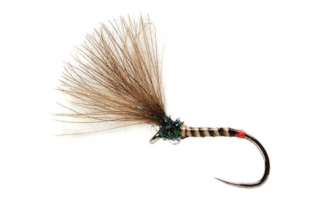 Roza's French Shuttlecock B/L Roza's French Shuttlecock B/L, Size 16