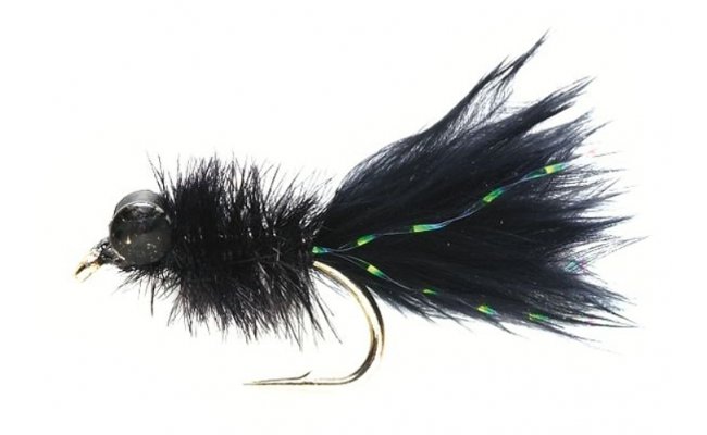 Alley Cat Black Alley Cat Black, Size 10