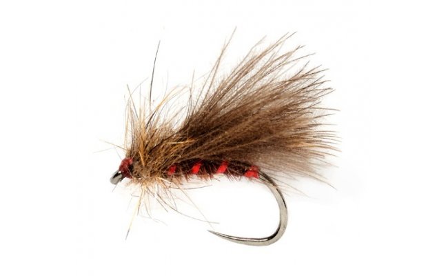 Roza's Red Rib Caddis B/L  Roza's Red Rib Caddis B/L, Size 14