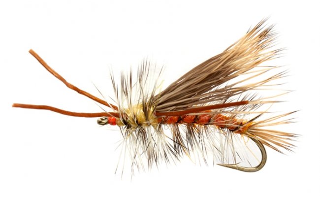 Sparkle Stimulator Orange Sparkle Stimulator Orange, Size 8