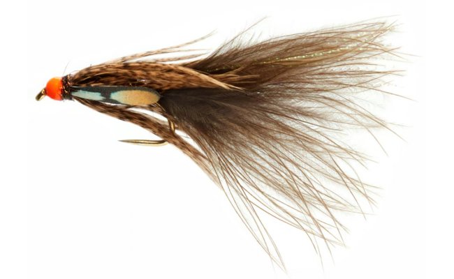 Roza's Clearwater Darling B/L Roza's Clearwater Darling B/L, Size 6