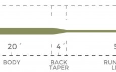 Fly Line Intermediate Tip Cortland CAMO TIP 7 Specialty Series - Chart