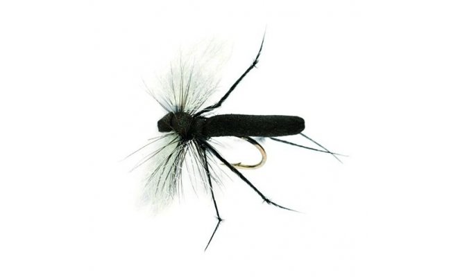 Aero Hawthorne Aero Hawthorne, Size 12