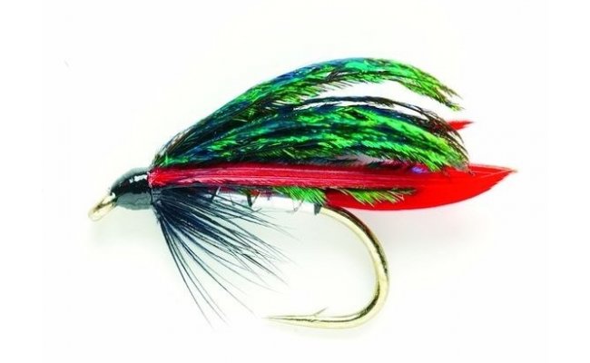 Alexandra Alexandra, Size 12