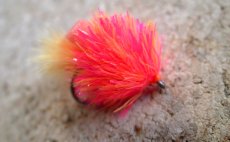 Chenille FlyBox Bi-Colour Fritz - Coral Blob