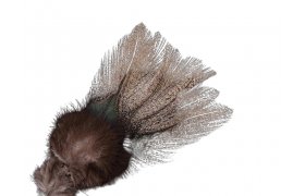 Coq de Leon Pardo Corzuno Light � Limite ... Coq de Leon Pardo Corzuno Light � Limited Series (PCL)