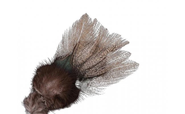 Coq de Leon Pardo Corzuno Light � Limited Series (PCL) Coq de Leon Pardo Corzuno Light � Limited Series (PCL)