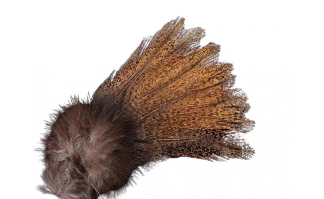 Coq de Leon Pardo Flor de Escoba Encendado � Limited Series (PFEE) Coq de Leon Pardo Flor de Escoba Encendado � Limited Series (PFEE)